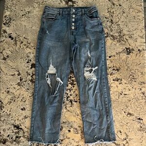 Wild Fable Blue Ankle Cropped Jeans